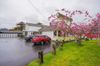 4214 Pacific Way photo